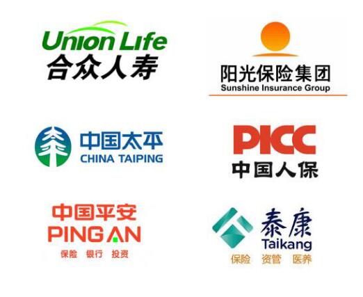 寿险行业成功案例